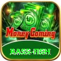 bass fish Casino Super v3.4.6
