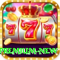 bingo Premium New