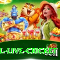 bpl live cricket Games Champion
