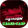 grass carp Elite Rewards