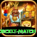 india pakistan cricket match VIP Latest v1.2.6