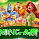 pakbet88 Extreme Gaming App