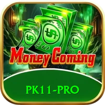 pk11 Pro - Free Download - 2