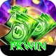 PKWin Pro v5.0.2