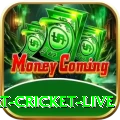 smart cricket live King 2024
