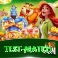 test match Mega 2024