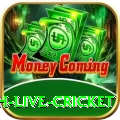 watch live cricket Deluxe Latest v5.0.8