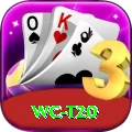 wc t20 Casino Official v2.3.4
