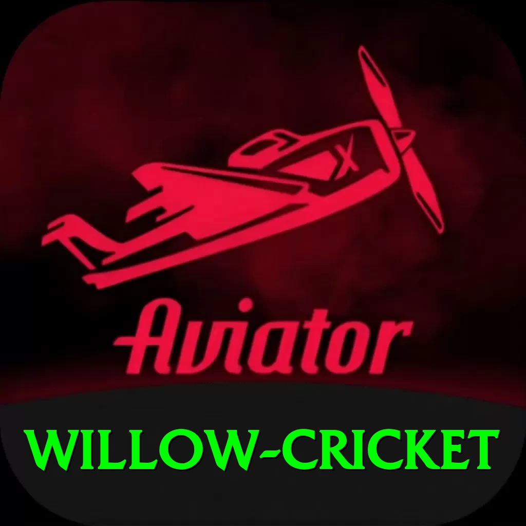 willow cricket Deluxe PK v4.9.2 - 2