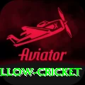 willow cricket Deluxe PK v4.9.2